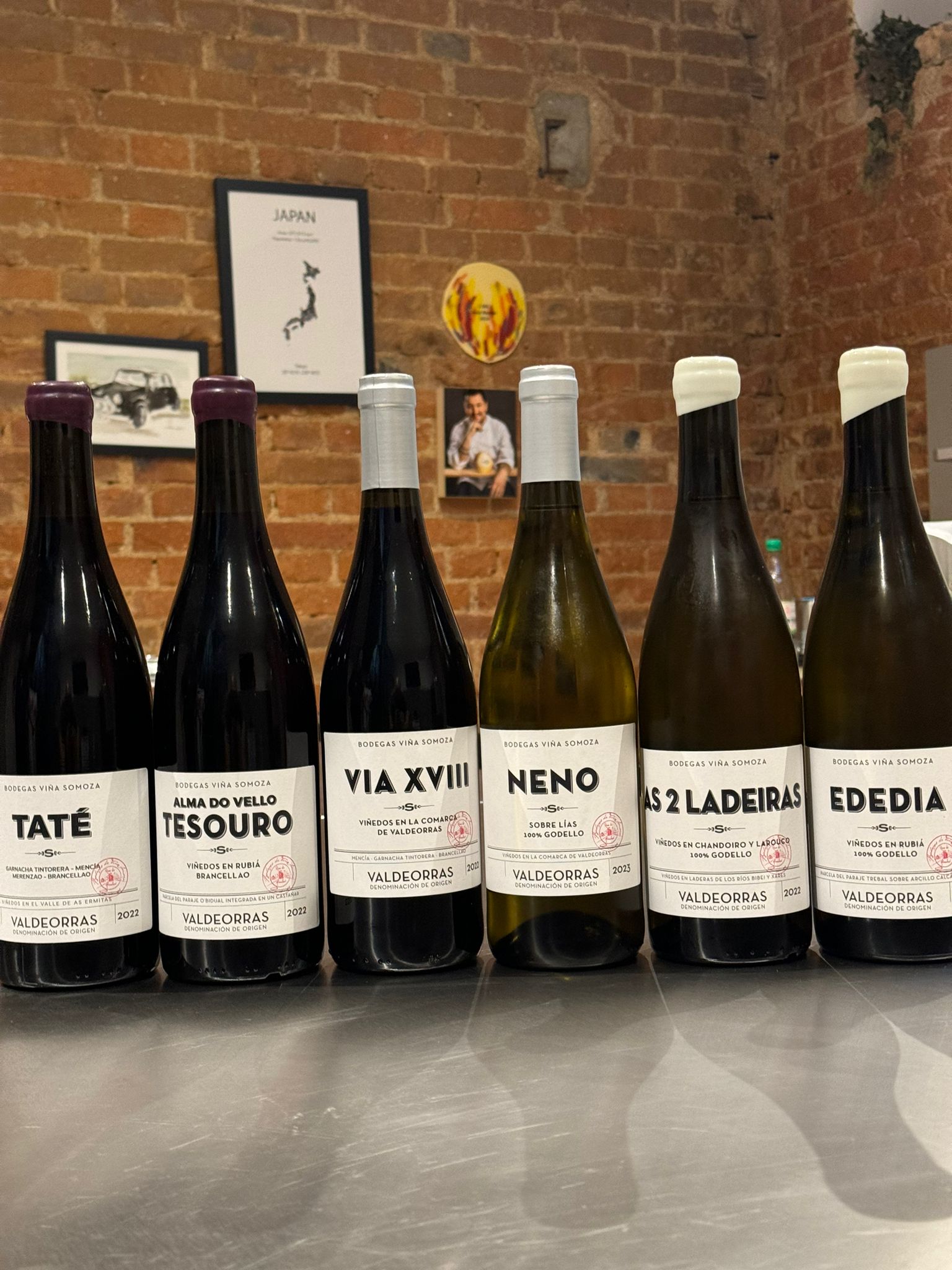 Tienda on line bodegas Somoza